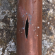 Illustration for article titled Why Cold Weather Makes Your Water Pipes Burst